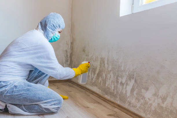 Licensed Hvac And Air Duct Mold Remediation service in Reading, MI - Mold Remediation HQ